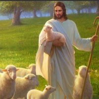 The Good Shepherd (@pleaseallowme12) 's Twitter Profile
