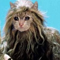 MITTFOOT FETISH ( Mittens (1977) )(@JUSTcatmeme) 's Twitter Profile Photo