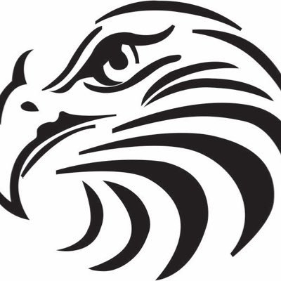 Lady Hawks BBall Profile