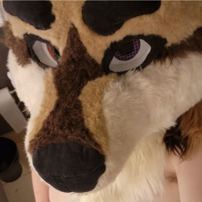 NotSafeForDoge's profile picture. 18+ NSFW || NB/M || AD Account || 20's || I post a lot of horny 💦💦 || Poly • Single || Any Pronoun