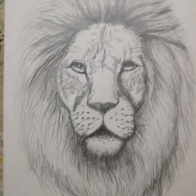 MalikArslan7556's profile picture. 