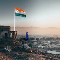 Komal Maurya (@divya7706) 's Twitter Profile