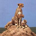 Cary Brooks 55 - @CaryBrooks55 - Twitter