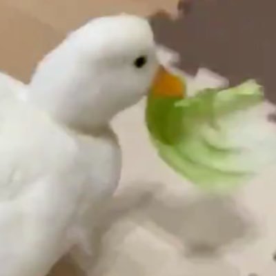れた🥬さんのプロフィール画像
