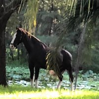 Kimberly Conway (@kimberl82111287) 's Twitter Profile
