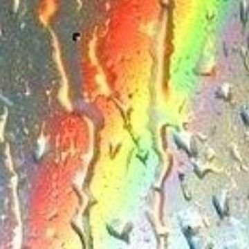 Sunshin59739186's profile picture. #Resist 🌊🌊  #ProChoice #Equality  #BLM 🇺🇲🏳️‍🌈🌈🚫MAGA🚫0Tweets #BlueCrew🚫DM'S🚫hate🚫Porn🚫Crypto
 #TruthMatters #VoteBlue 
💙🦋💙♌️ #ChangeGunLawsNow