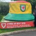 FAW Club Developer - West Wales (@FAW_CDwest) Twitter profile photo