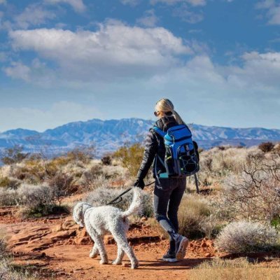 AllieGAK's profile picture. WifeMotherPatriotPilotTriathleteMountaineer, Air Force/GWOT veteran. My lucky numbers are 45 & 47.    IFBAP
R/Ts are not necessarily my opinion. No DMs, please.