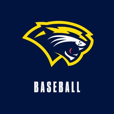 SAU Cougars Baseball Profile