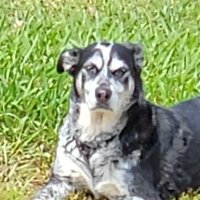 CryptoCrip710 (@cryptocrip710) 's Twitter Profile