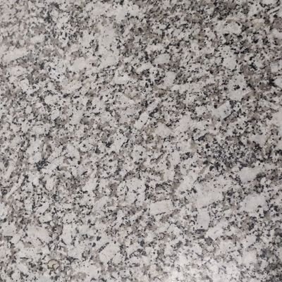 Hitesh143s's profile picture. 