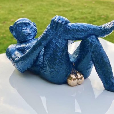 laitisd's profile picture. 