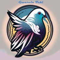 GuvercinTaki(@GuvercinTaki) 's Twitter Profile Photo