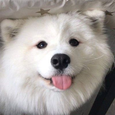 _smile_2125's profile picture. 💗เนเน่