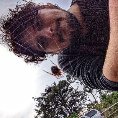 NMDG_Ento's profile picture. Ph.D. Candidate @wsu studying bee and wasp systematics. Opinions my own. He/Him. 'Pollen Wasps are the delight of the Taxonomist' - Bequaert, 1929