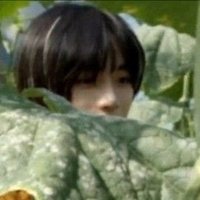 m. (@bgvrshttps) Twitter profile photo
