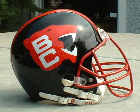 bdclarke's profile picture. The Mad Canadian.  Generalist.  Ronin Librarian.  Research Magpie.  

Host, Forthcoming Podcast Project

Also; not a Russian bot, and BLM. Needs to be said.