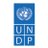 @UNDP_SDGFinance