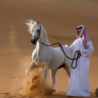 صخي الادهم 🌹💕🌹 (@aladhmskhy) 's Twitter Profile Photo