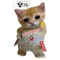 luluhome (@lulu_home_) 's Twitter Profile