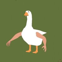 Goose (@mrirrelevant205) 's Twitter Profile