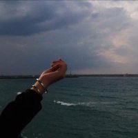 Shimaa Qa (@qasmiashimaa) 's Twitter Profile