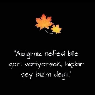 RTEgizem06's profile picture. 🇹🇷🇹🇷🇹🇷💛❤️ Kun FeYekun 😊
DM ⛔