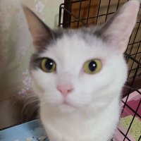 高橋くん (@takahashikun57) Twitter profile photo
