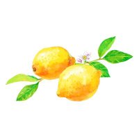 しとらす (@citrus55424567) Twitter profile photo