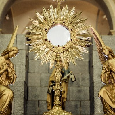 A portal dedicated to daily reflections on mass readings, summons and the lives of saints through encouraging the devotion to the Blessed Sacrament.