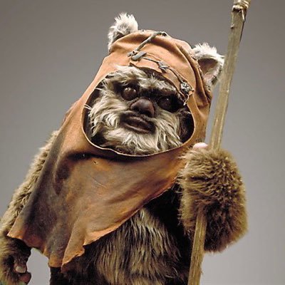 EwokWicketWW Profile Picture