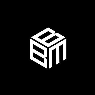 Black Baseball Media Profile
