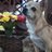 yucchi1028's profile image