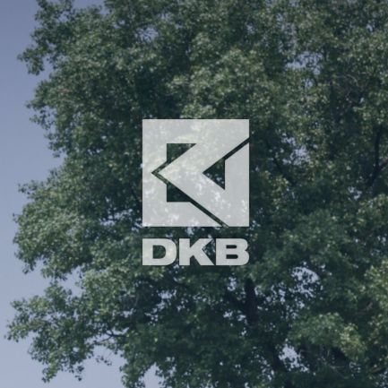 DKB_bolivia Profile Picture