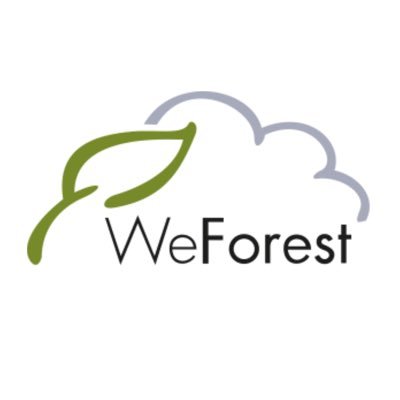 We’re WeForest, the NGO working to make Earth cooler 🌎