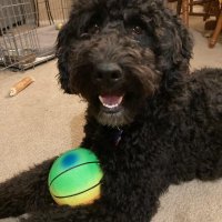 Zigzag (@zigzag1960) 's Twitter Profile Photo Zigzag (@zigzag1960) 's Twitter Profile Photo