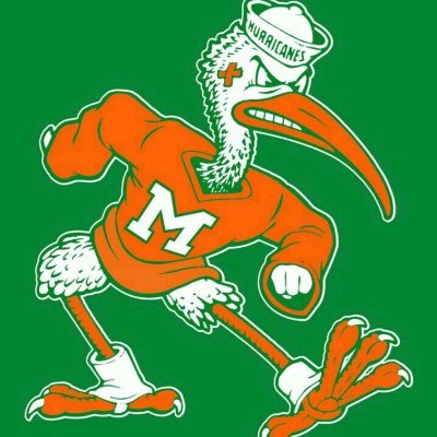 Canes.Dolphins.Heat.Marlins.Panthers in that order. Husband. Father of 2. Livin in Paradise.
#CaneGang 🙌🏽🧡💚