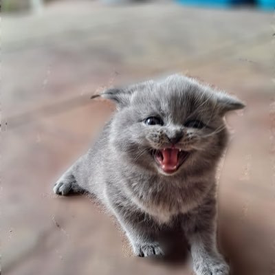 isaac_c_rey's profile picture. Nothing to tell