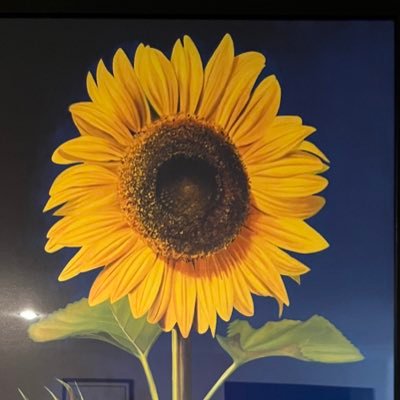 turajane's profile picture. 