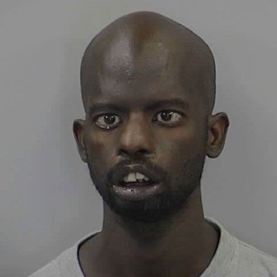 tealapod's profile picture. .