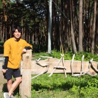 すえ (@suepiyo_g026) Twitter profile photo