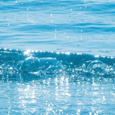 rpdmfma77's profile picture. 