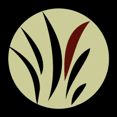 codevelvet's profile picture. Consulting services for web dev, data visualization, test automation