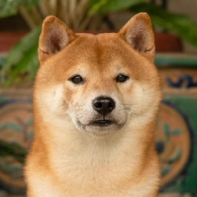 martinasaaal's profile picture. 