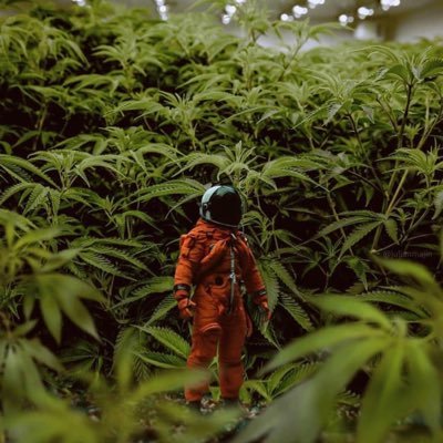 @SpaceCadetCS