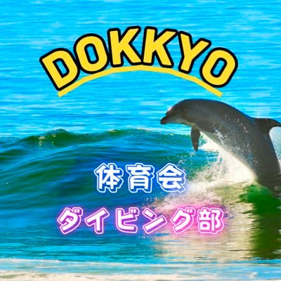 獨協大学ダイビング部です🤿🌊海が好き、泳ぐことが好き、ダイビングに興味がある方は是非!🐠🫧 質問や相談があればお気軽にDMへどうぞ!