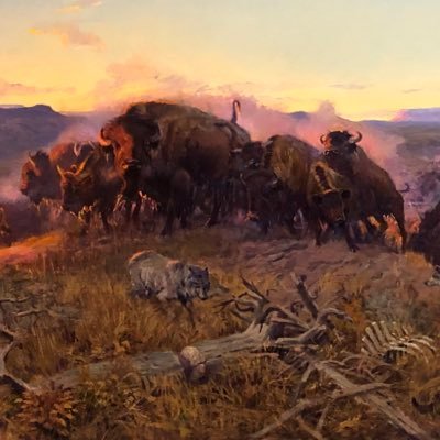 Pubtest1787787's profile picture. 19 bi college twink who’s down bad. dms open. sugar daddies welcome. no minors