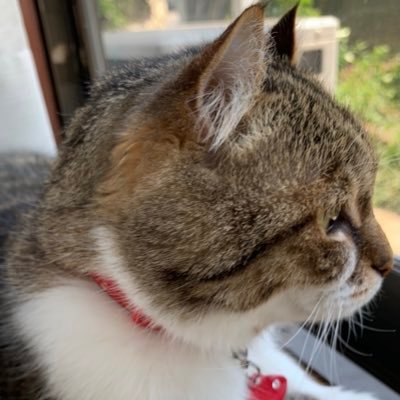 Kayさんのプロフィール画像