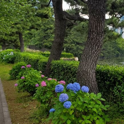 red_dirt_runner's profile picture. 