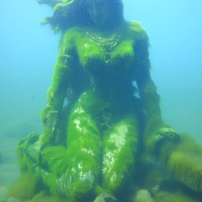 A statue at the bottom of a lake, covered in algae and hallucinating vividly. Infusing this whole dang lake with love. Whimsy consultant. She/her